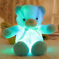 ⏳Limited-time 50% off⏰Teddy bear, colourful LED light, soft toys🌈🧸