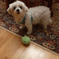 Anti-Anxiety Automatic Moving Ball Dogs And Cat Toys