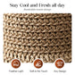 ⏳Limited-time 50% off⏰Elegant Woven Straw Sun Hat with Bow👒