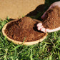 ⏳Limited-time 50% off⏰Organic Coconut Coir for Plants🌱
