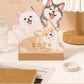 ⏳Limited-time 50% off⏰2026 3D Cats & Dogs Desk Calendar😻📆