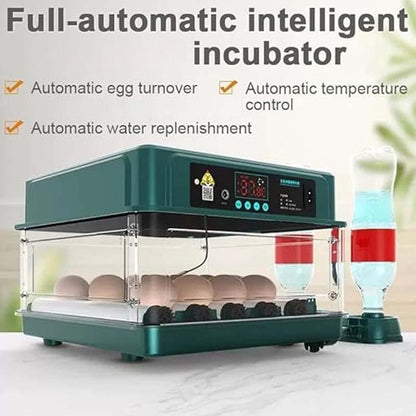 ⏳Limited-time 50% off⏰Automatic Incubator with Temperature Control🐣💧