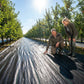 ⏳Limited-time 50% off⏰Weed Control Fabric🌿📉
