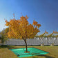 ⏳Limited-time 50% off⏰1×1/2×2m Landscape Tarp for Trimming with 20/30/60cm Hole🪚