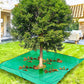 ⏳Limited-time 50% off⏰1×1/2×2m Landscape Tarp for Trimming with 20/30/60cm Hole🪚