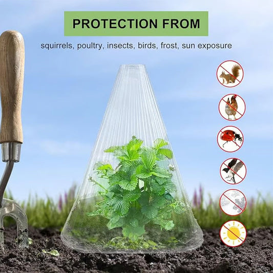⏳Limited-time 50% off⏰30 PCS Clear Garden Cloche for Plants🌱🛡️
