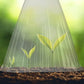 ⏳Limited-time 50% off⏰30 PCS Clear Garden Cloche for Plants🌱🛡️
