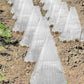 ⏳Limited-time 50% off⏰30 PCS Clear Garden Cloche for Plants🌱🛡️