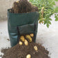 ⏳Limited-time 50% off⏰Large Capacity PE Grow Bags (18L/26L/38L) for Potato, Tomato & Vegetable Gardening🌱🥔