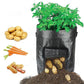 ⏳Limited-time 50% off⏰Large Capacity PE Grow Bags (18L/26L/38L) for Potato, Tomato & Vegetable Gardening🌱🥔