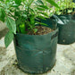 ⏳Limited-time 50% off⏰Large Capacity PE Grow Bags (18L/26L/38L) for Potato, Tomato & Vegetable Gardening🌱🥔
