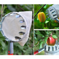 ⏳Limited-time 50% off⏰Fruit Picker Head Basket – Clips onto Pole, Soft Cushion, No Bruising, Harvest Faster 🌳🍎🧺