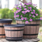 ⏳Limited-time 50% off⏰Round Resin Barrel Planter for Garden🪴