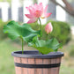 ⏳Limited-time 50% off⏰Round Resin Barrel Planter for Garden🪴