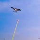 ⏳Limited-time 50% off⏰Handheld Fishing Rod Kite Toy🪁
