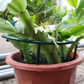 ⏳Limited-time 50% off⏰Interlocking Planting Grow Rings🍅🥦