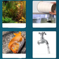 ⏳Limited-time 50% off⏰Aquarium Water Purifying Tablets🐟