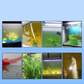 ⏳Limited-time 50% off⏰Aquarium Water Purifying Tablets🐟