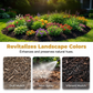 ⏳Limited-time 50% off⏰Mulch & Gravel Anchor Glue for Landscaping🏡