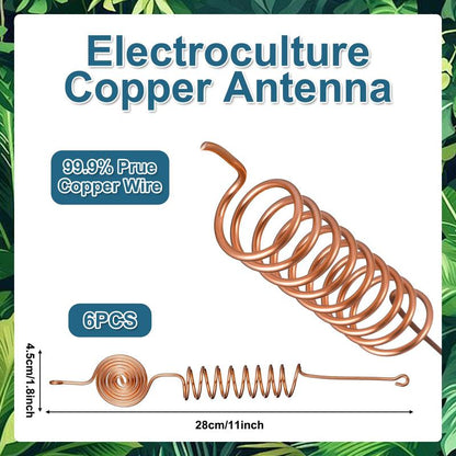 ⏳Limited-time 50% off⏰Electroculture Copper Gardening Antenna🪴💐