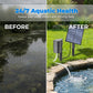 ⏳Limited-time 50% off⏰Solar Pond Aerator with Air Pump🫧🐟