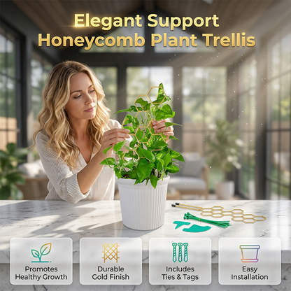 ⏳Limited-time 50% off⏰Creative Honeycomb Metal Plant Support Stakes🌱