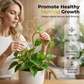 ⏳Limited-time 50% off⏰Creative Honeycomb Metal Plant Support Stakes🌱
