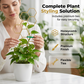 ⏳Limited-time 50% off⏰Creative Honeycomb Metal Plant Support Stakes🌱