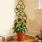 ⏳Limited-time 50% off⏰Creative Honeycomb Metal Plant Support Stakes🌱
