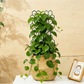 ⏳Limited-time 50% off⏰Creative Honeycomb Metal Plant Support Stakes🌱