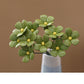 ⏳Limited-time 50% off⏰Everlasting Ceramic Floral Decoration💐🪴