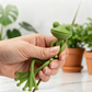 ⏳Limited-time 50% off⏰Cute & Stable Frog Plant Stand🐸🌱