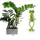 ⏳Limited-time 50% off⏰Cute & Stable Frog Plant Stand🐸🌱