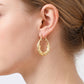 ⏳Limited-time 50% off⏰Gold Dolphin Hoop Earrings for Women💛🐋