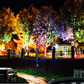 ⏳Limited-time 50% off⏰Ring-Shaped Solar Tree Lights – Weatherproof Outdoor Spotlights Ideal for Trees, Pillars, and Gardens🌳💡