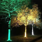 ⏳Limited-time 50% off⏰Ring-Shaped Solar Tree Lights – Weatherproof Outdoor Spotlights Ideal for Trees, Pillars, and Gardens🌳💡