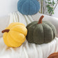 ⏳Limited-time 50% off⏰Cute Soft Pumpkin Throw Pillow🎃🛋️