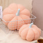 ⏳Limited-time 50% off⏰Cute Soft Pumpkin Throw Pillow🎃🛋️