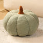 ⏳Limited-time 50% off⏰Cute Soft Pumpkin Throw Pillow🎃🛋️