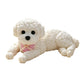 ⏳Limited-time 50% off⏰Cute Squishy Teddy Dog Stress Relief Toy🐶🧸