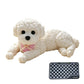 ⏳Limited-time 50% off⏰Cute Squishy Teddy Dog Stress Relief Toy🐶🧸