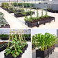 🌱LIMITED-TIME 50% OFF! 🥬 Multifunctional Planting Box – Grow veggies & herbs easily ✨