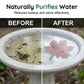 ⏳Limited-time 50% off🌿Universal Fit Bird Bath Cleaner🐦💦Wildlife‑Safe Leaf Purifier for Fresh, Clear Water in Any Garden Basin | Rust‑Resistant & Low Maintenance🛡️✨