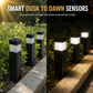 ⏳Limited-time 50% off⏰Solar Outdoor Garden Lights for Yard and Landscape Decoration🏡💡