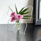 ⏳Limited-time 50% off⏰Transparent Butterfly-Inspired Decorative Vase🦋💐