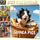 ⏳Limited-time 50% off⏰Adorable Guinea Pig Wall Calendar📅