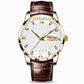 Men's Fashion Watch with Day Date Display Waterproof Luminous Hands and Alloy Steel Band