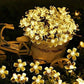⏳Limited-time 50% off⏰Waterproof Cherry Bllossom LED Fairy String Lights – Outdoor Garden, Lawn & Patio Decor🌸💡