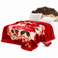 ⏳Limited-time 50% off⏰Thickened Soft Warm Throw Blanket🌺🛏️